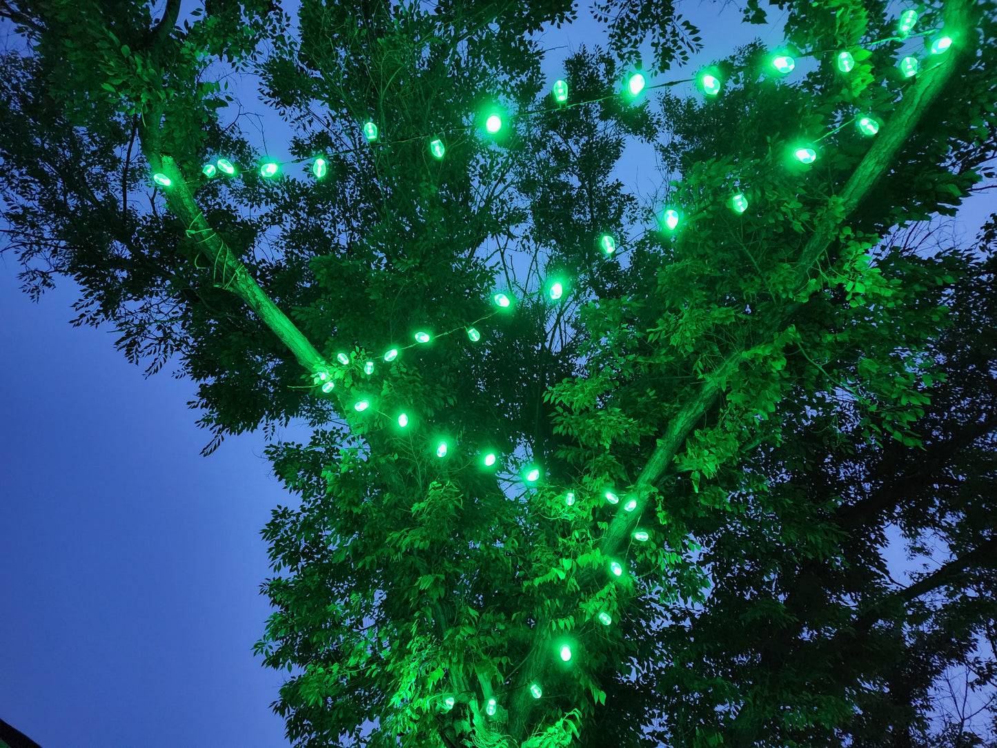 Outdoor String Lights 20ft