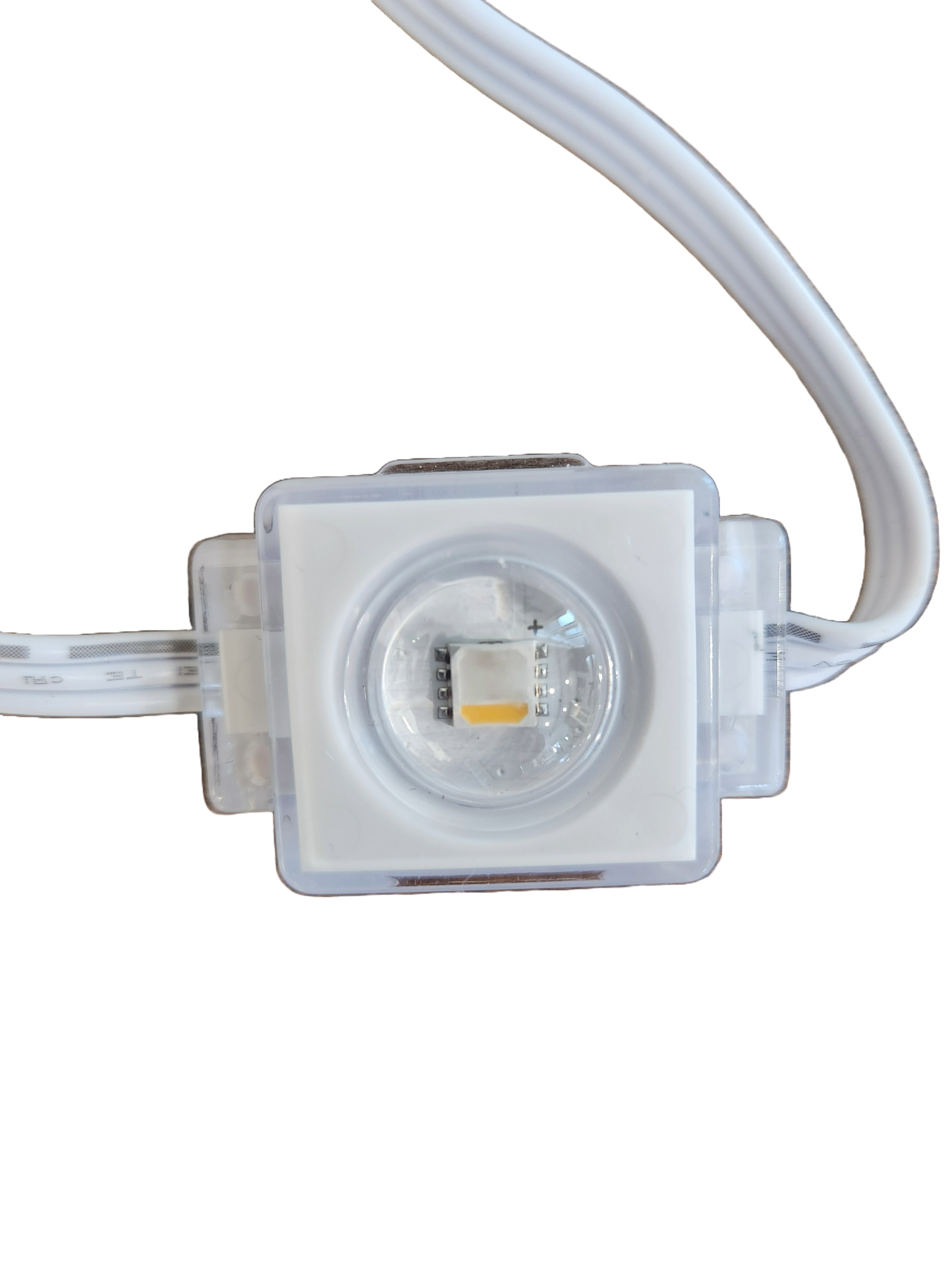 24V ShowCone Lights *10 Qty*