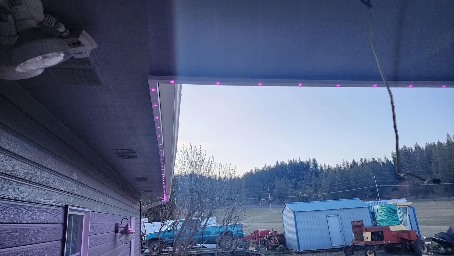24V ShowCone Lights *10 Qty*