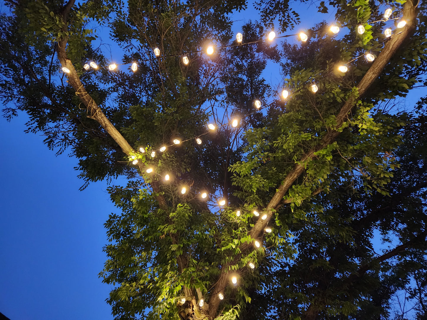 Outdoor String Lights 20ft