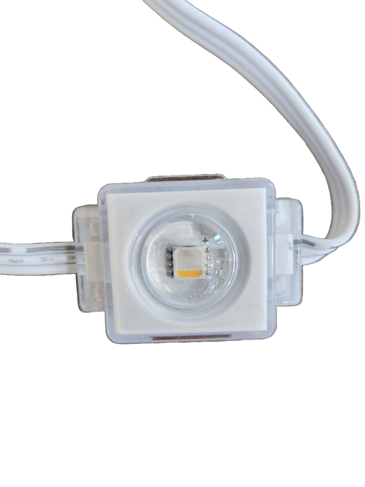 24V ShowCone Lights *10 Qty*